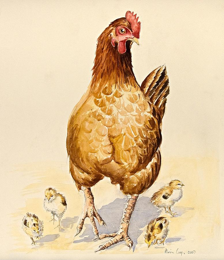 Chicken  - Georges Hen and her Chicks by Alison Cooper