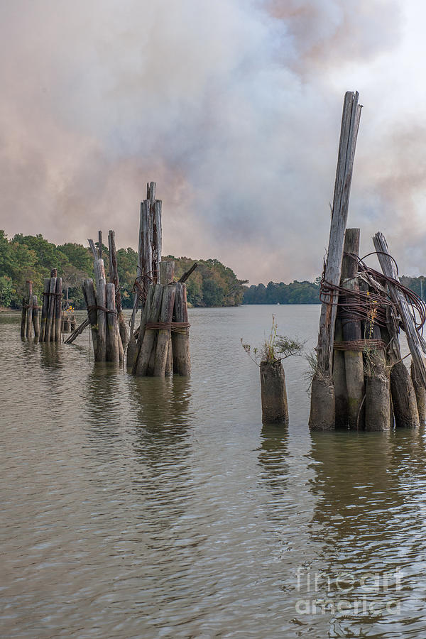 Georgetown Pilings Photograph by Dale Powell
