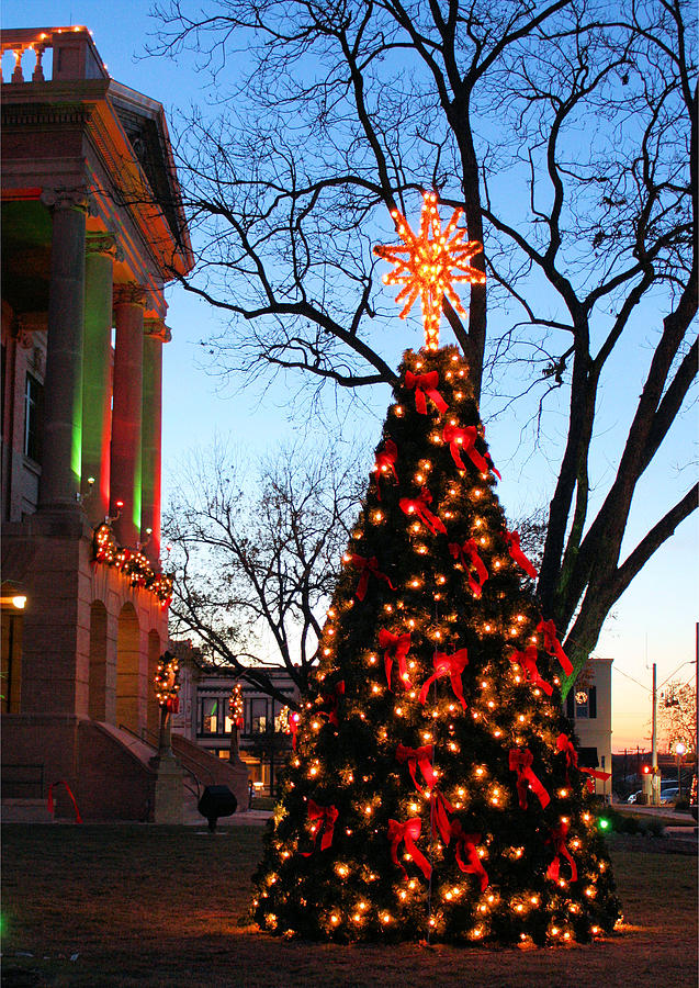 Texas Christmas Photograph by Valerie Loop Pixels