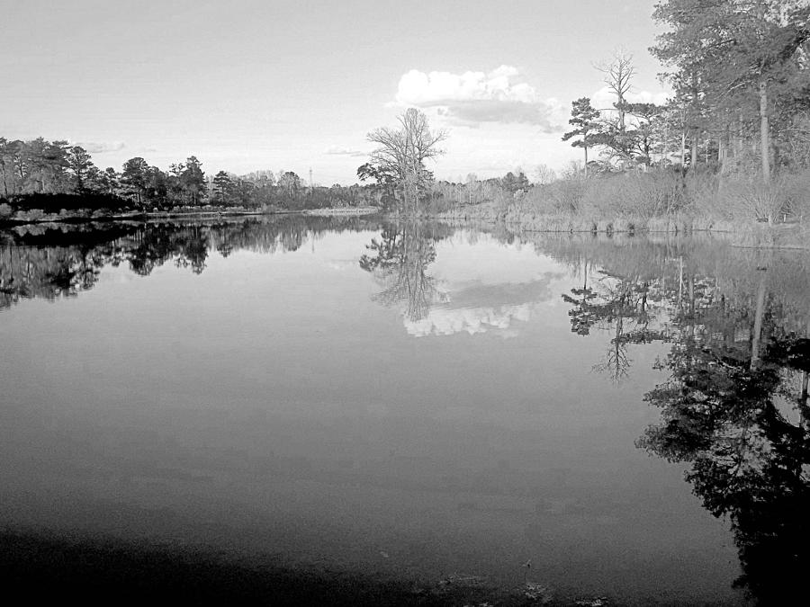 Black And White Photograph - Georgia Lake In Black And White by James Potts