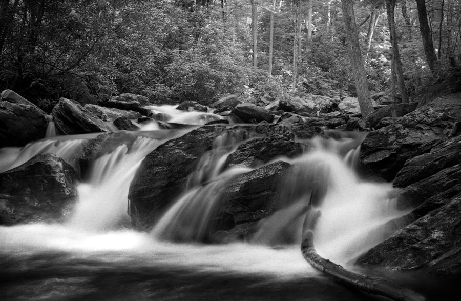 Georgia Mountain Water in Black and White Photograph by Greg and Chrystal Mimbs
