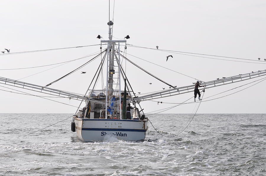 Georgia Shrimp Boat Photograph by Golden Isles Insider - Fine Art America