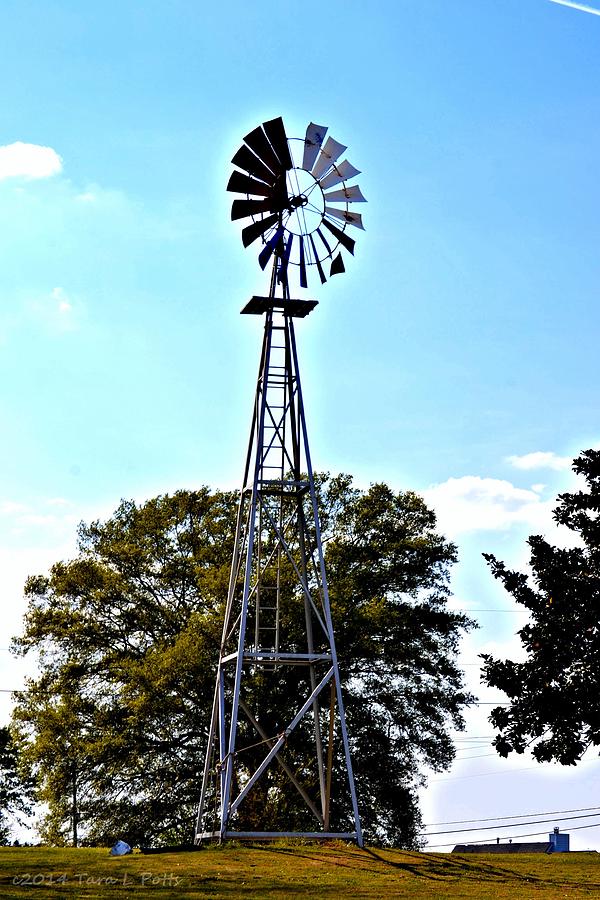 Georgia Windmill Photograph by Tara Potts