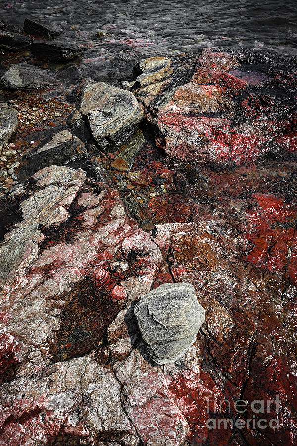 Abstract Photograph - Georgian Bay rocks abstract II by Elena Elisseeva