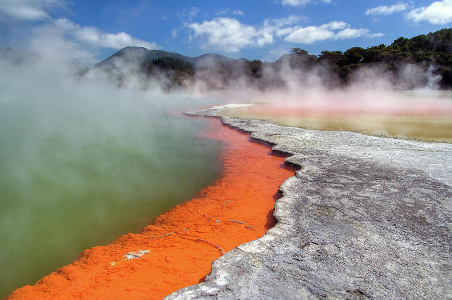 Geothermal Activity In Rotorua Photograph by Traumlichtfabrik