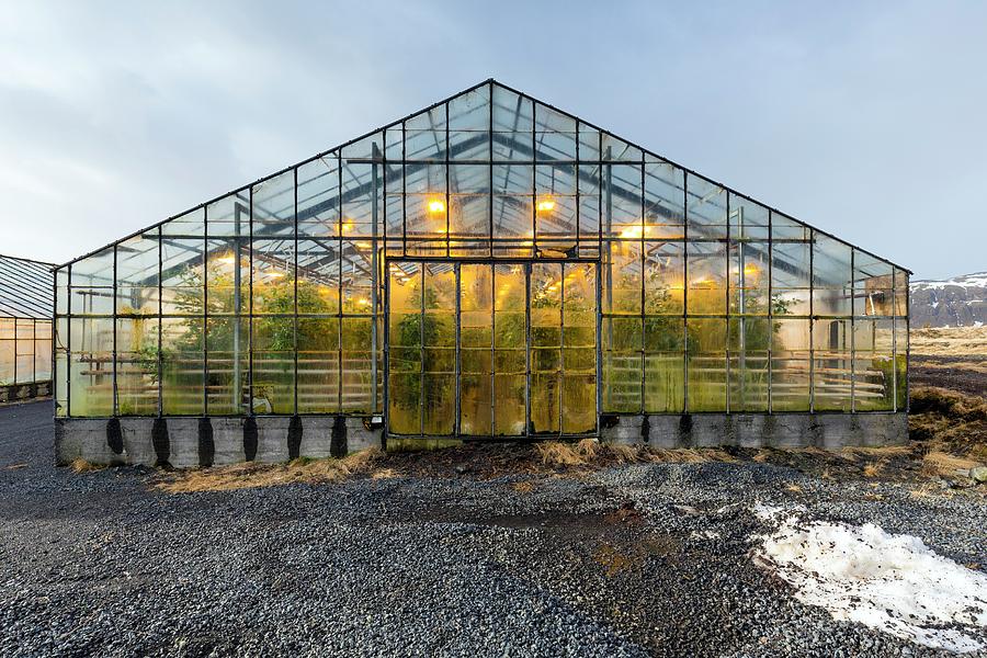 Geothermally Heated Greenhouse Photograph by Dr Juerg Alean