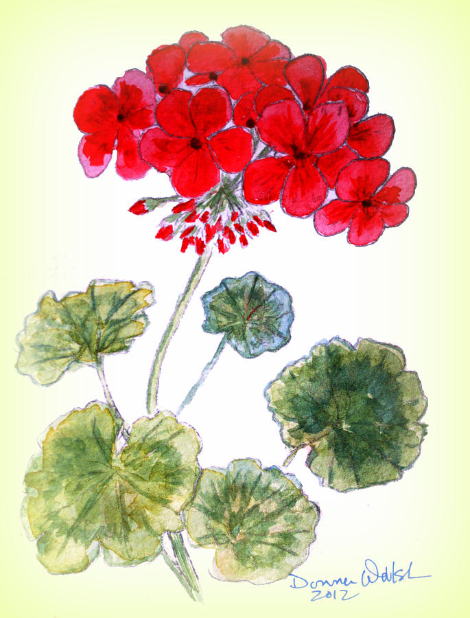 Geranium Painting by Donna Walsh