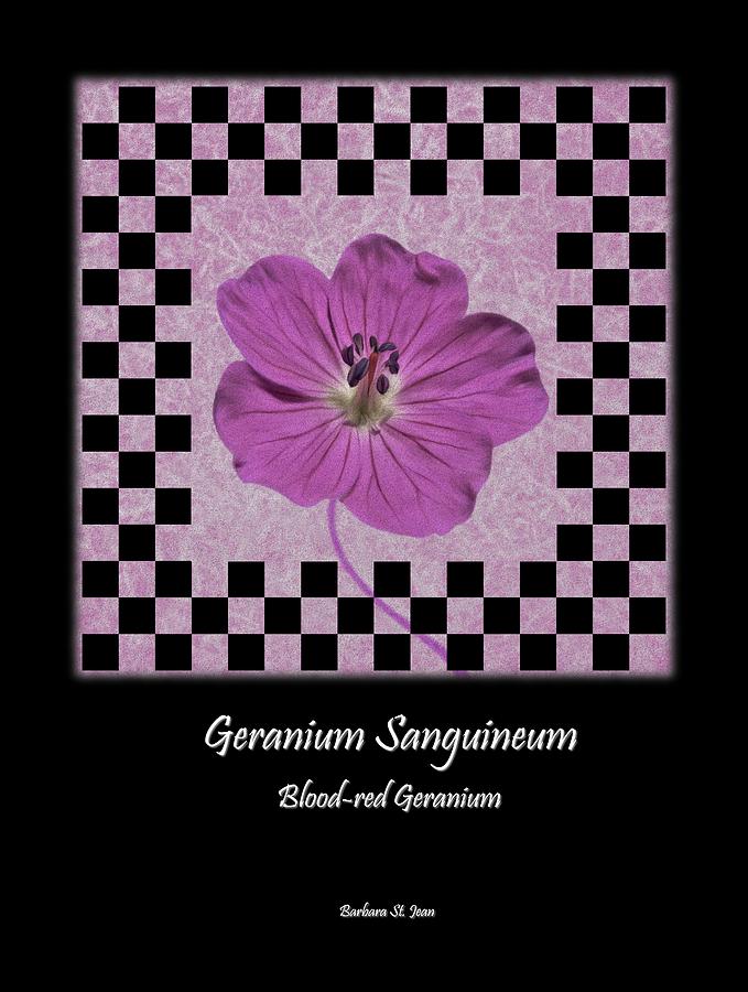 Geranium Purple Poster 1 Digital Art by Barbara St Jean