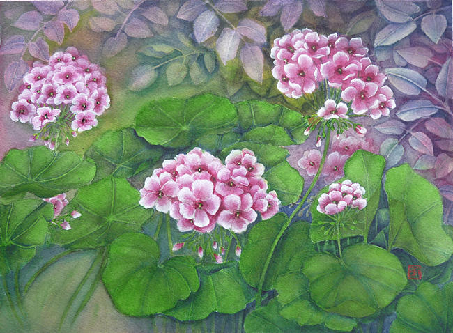 Geranium Painting by Rayne Van Sing | Fine Art America