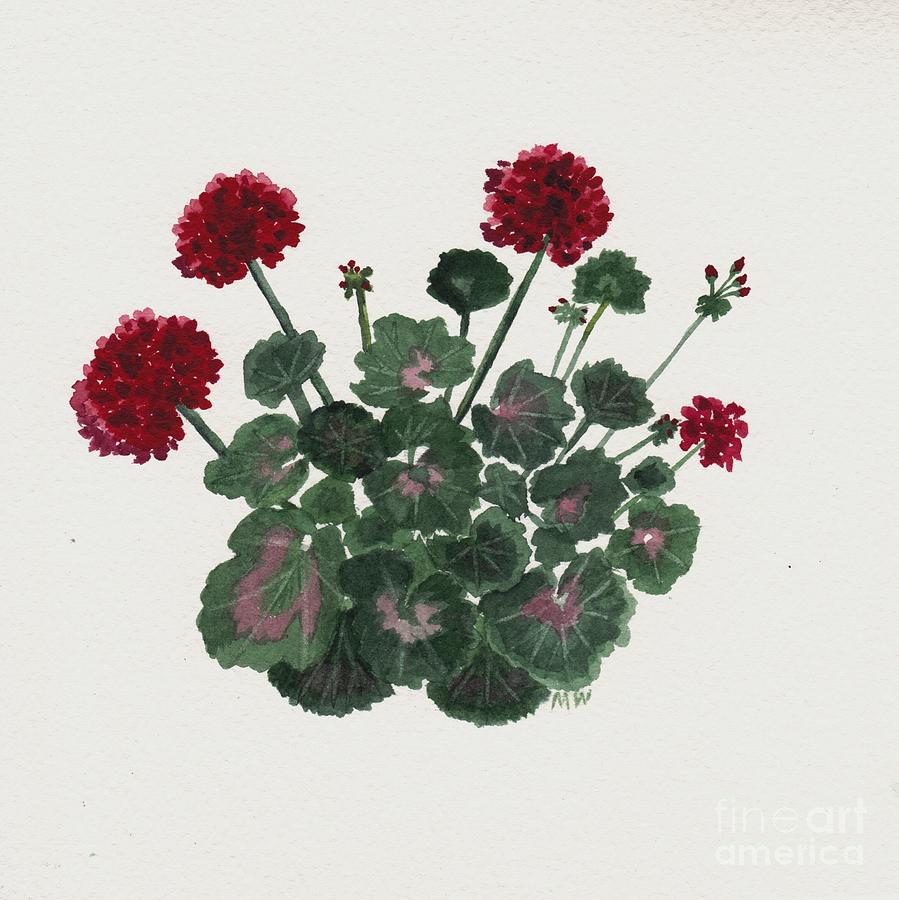 Geranium Study Painting by Michelle Welles