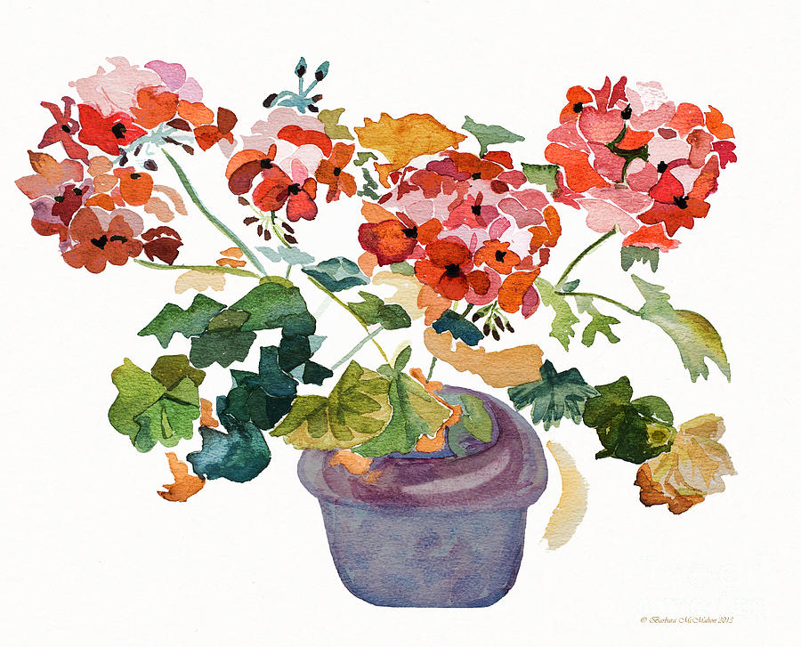 Flower Painting - Geranium Watercolour by Barbara McMahon