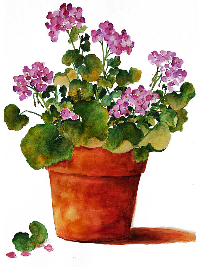 Geraniums Painting by Sally Quillin