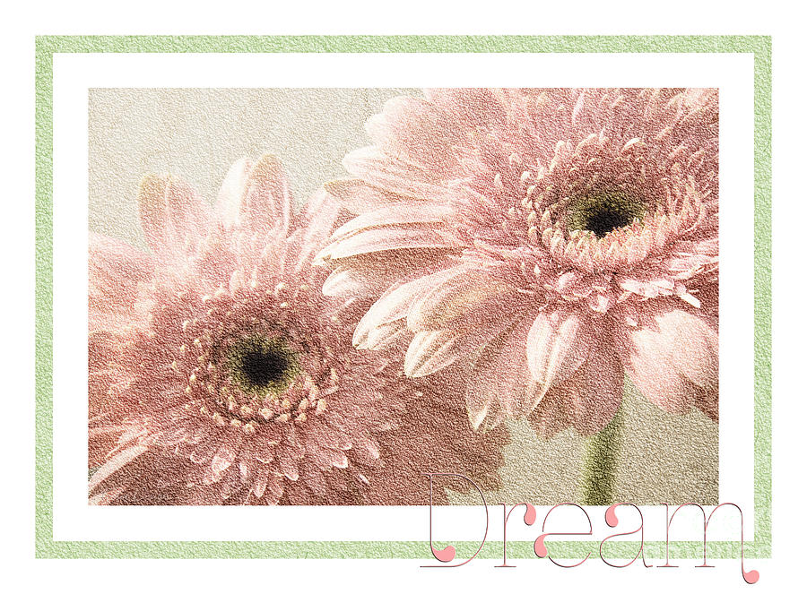 Gerber Daisy Dream 3 Photograph by Andee Design