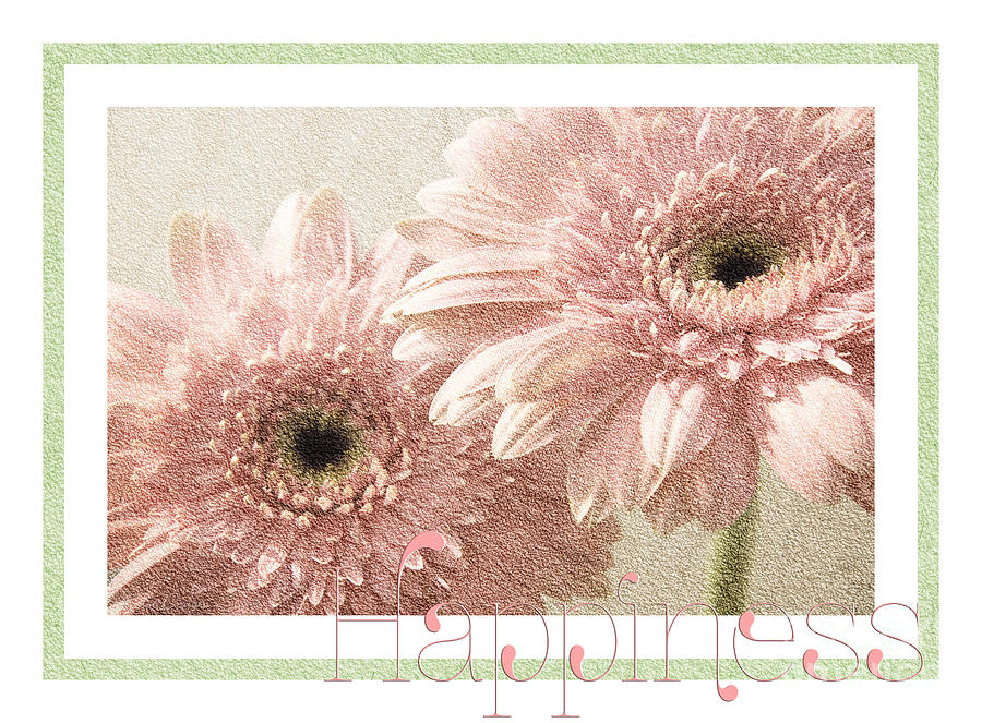 Gerber Daisy Happiness 3 Photograph by Andee Design