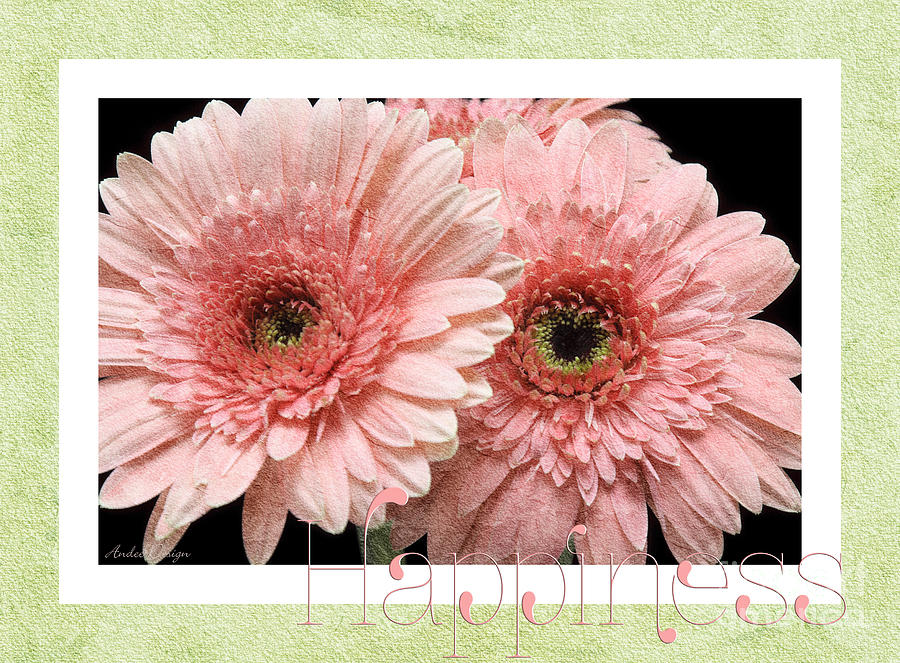 Gerber Daisy Happiness 4 Photograph by Andee Design