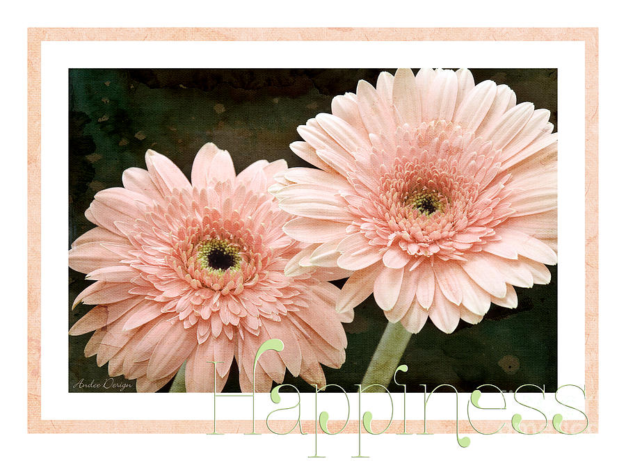 Gerber Daisy Happiness 5 Photograph by Andee Design