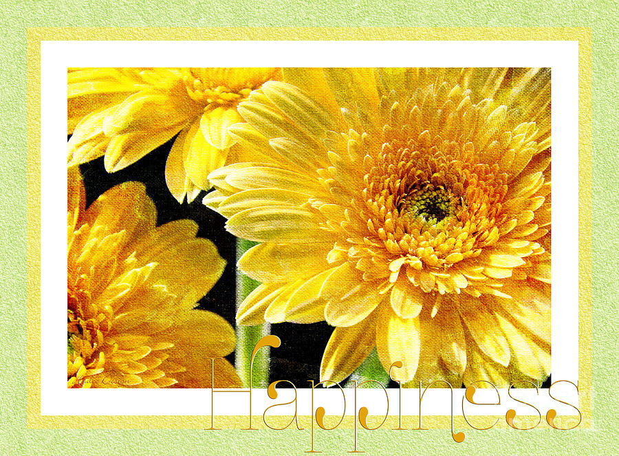 Gerber Daisy Happiness 6 Photograph by Andee Design