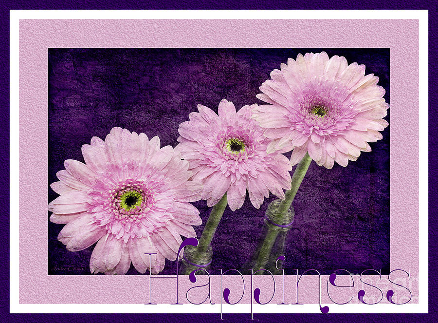 Gerber Daisy Happiness 7 Photograph by Andee Design