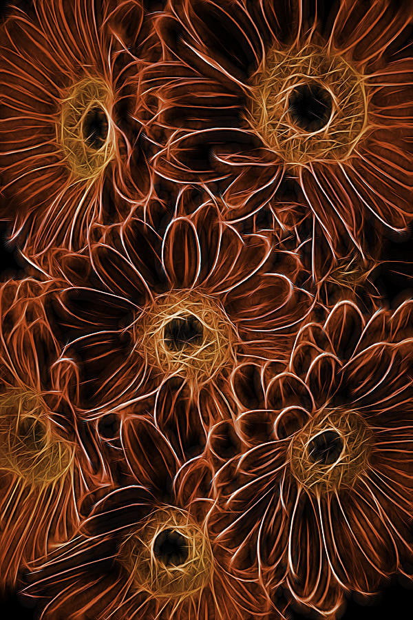 Gerbera Abstract Photograph by Garry Gay