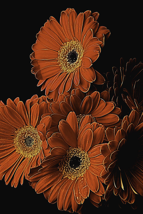 Flower Photograph - Gerbera Daisy Abstract by Garry Gay