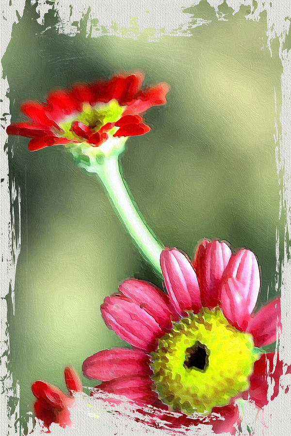Gerbera Greetings Photograph by Bonnie Bruno Gerbera Greetings Photograph by Bonnie Bruno