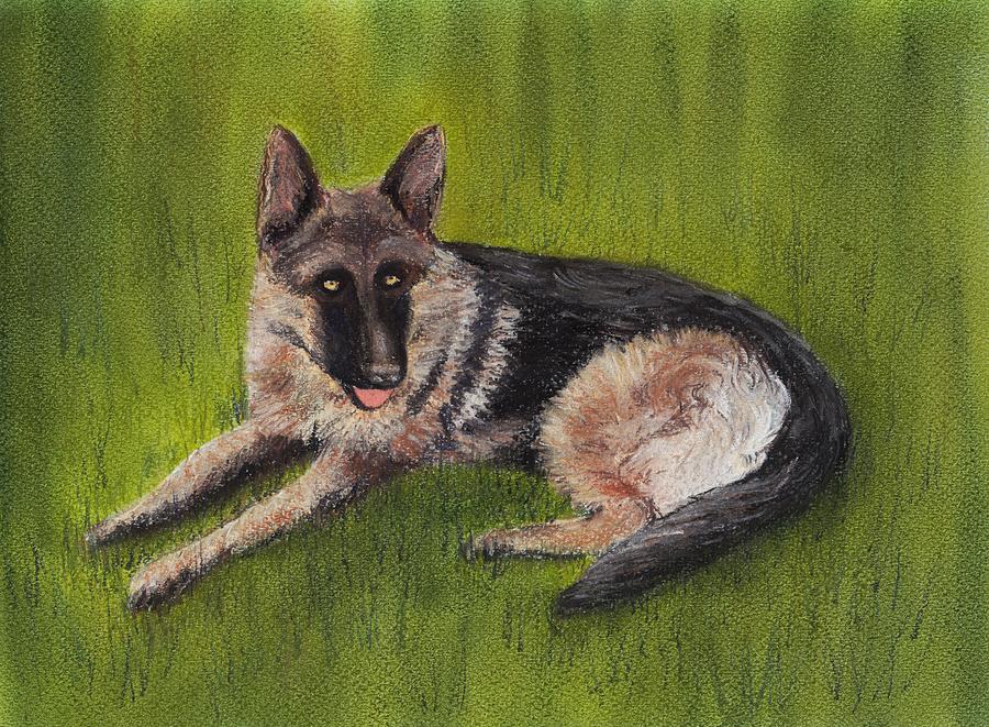 German Shepherd Painting by Anastasiya Malakhova