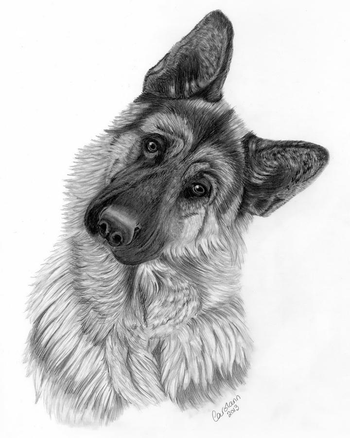German Shepard Sit Position Line Art Print. Printable Modern Shepherd  Profile Drawing. Minimalist Pet Puppy Dog Illustration. Doodle Decor - Etsy