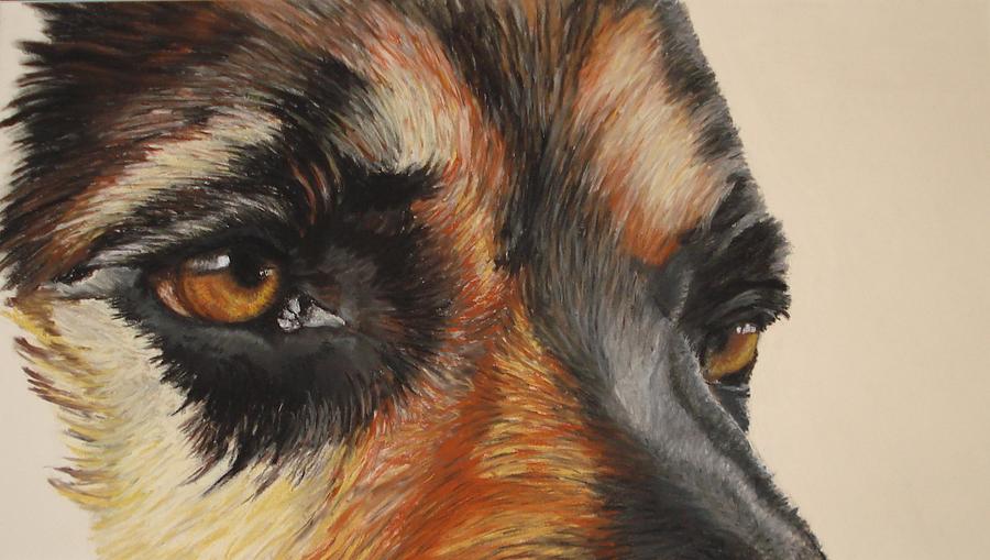 Protection Pastel - German Shepherd Gaze by Ann Marie Chaffin Protection Pastel - German Shepherd Gaze by Ann Marie Chaffin