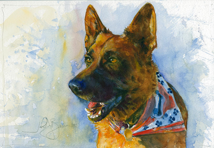 Dog Painting - German Shepherd by John D Benson