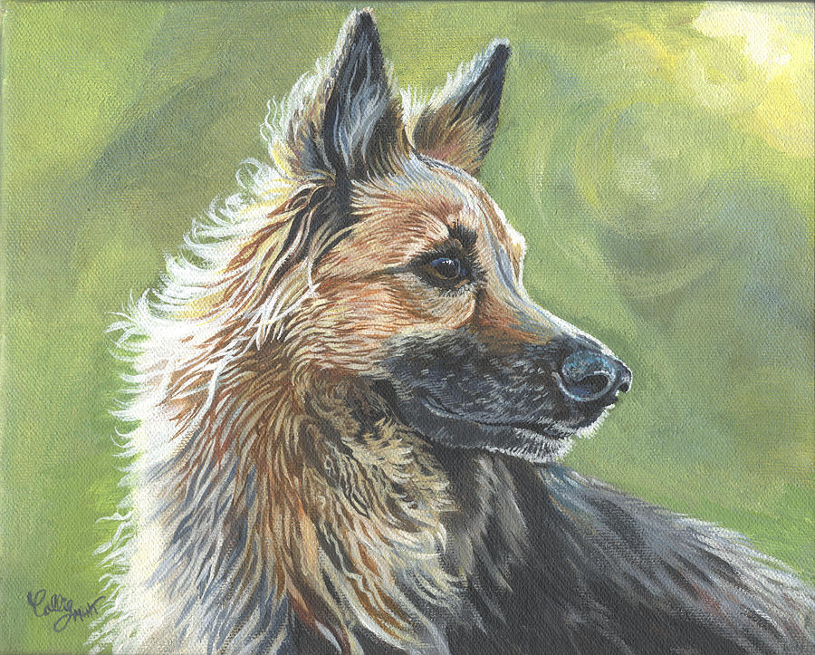 German Shepherd Portrait by Callie Smith German Shepherd Portrait by Callie Smith