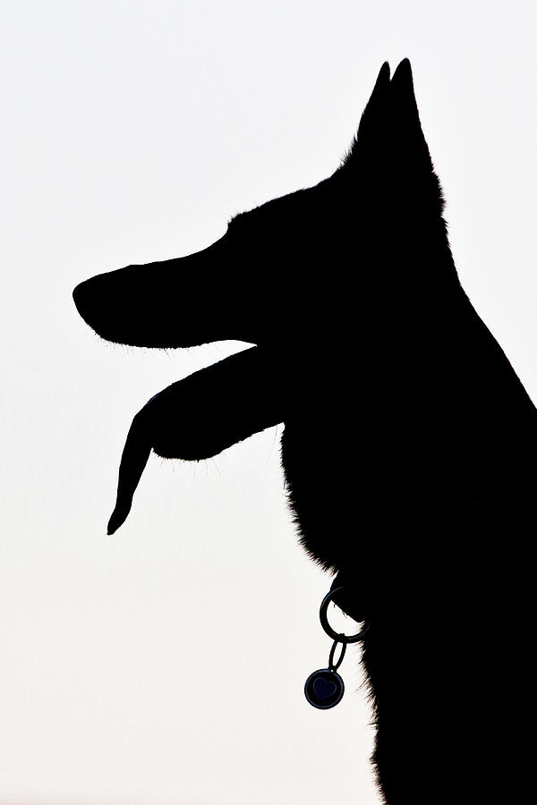 german shepherd silhouette