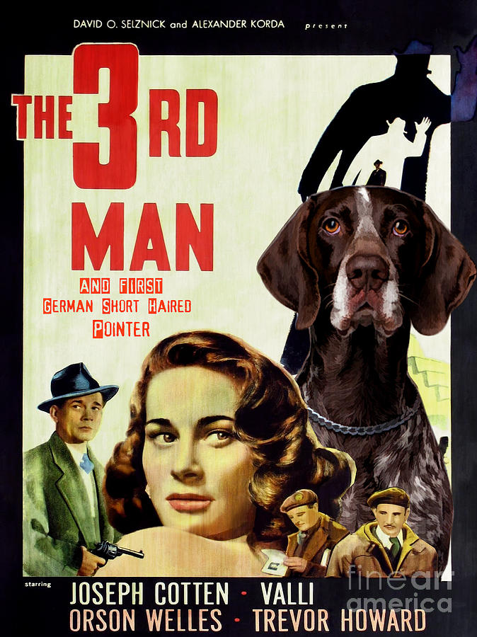 Dog Painting - German Short Haired Pointer Art Canvas Print - The Third Man Movie Poster by Sandra Sij