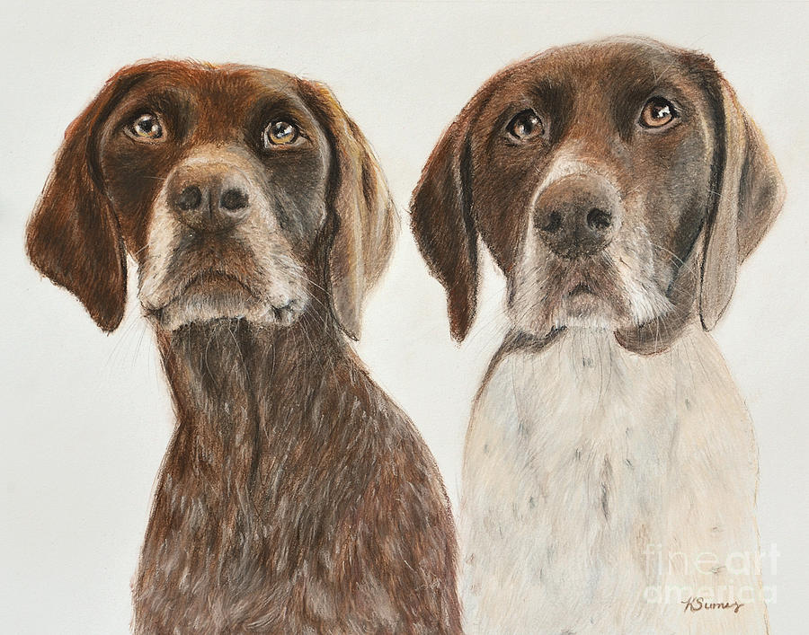 German Shorthaired Pointers Painting by Kate Sumners - Pixels