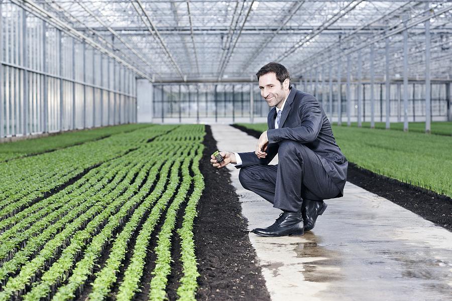 Germany, Bavaria, Munich, Mature man examining seedlings in greenhouse Photograph by Westend61
