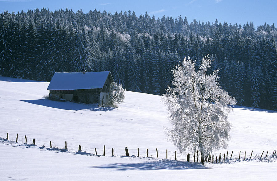 Germany, Bavarian forest, near Breitenberg Photograph by Herbert Scholpp