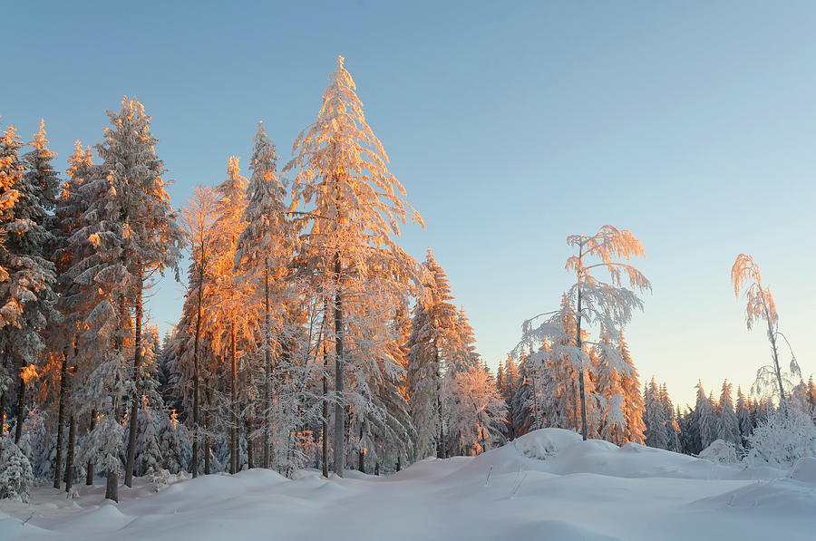 Germany, View Of Black Forest In Winter Photograph by Westend61