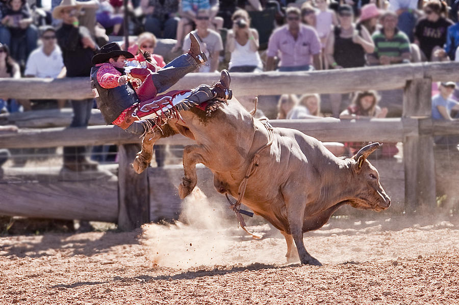 Get Bucked I Photograph by Michelle Wrighton