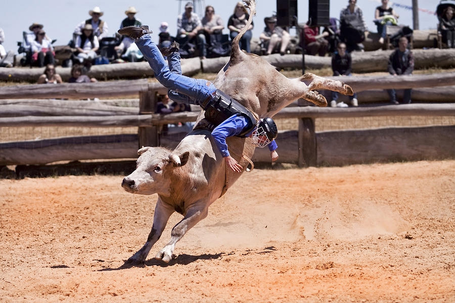 Get Bucked II Photograph by Michelle Wrighton