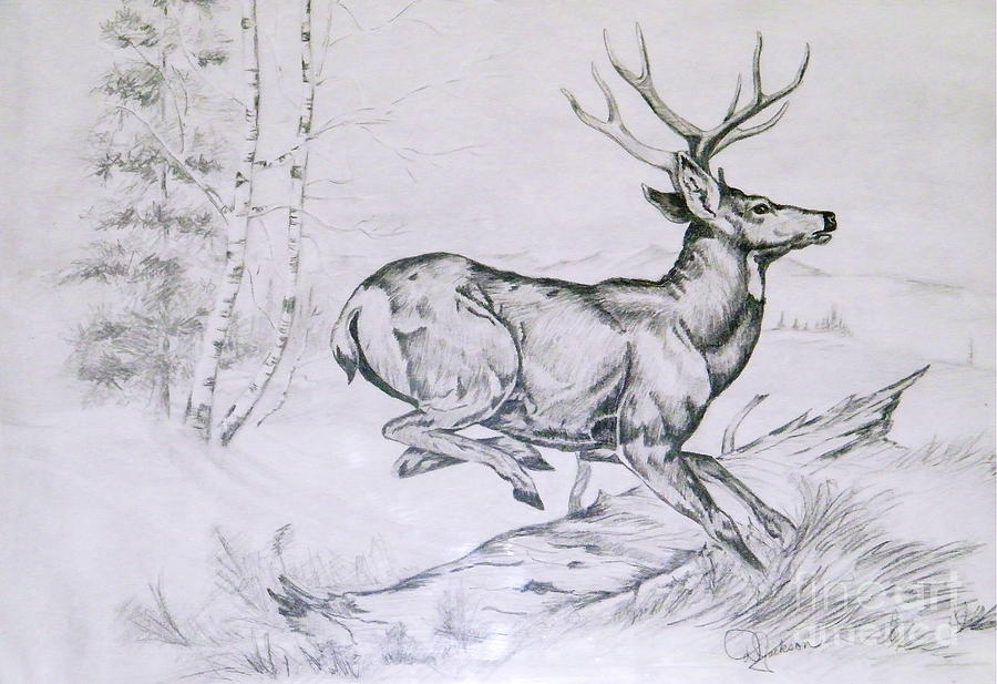 Nature Drawing - Getting Away by Dale Jackson