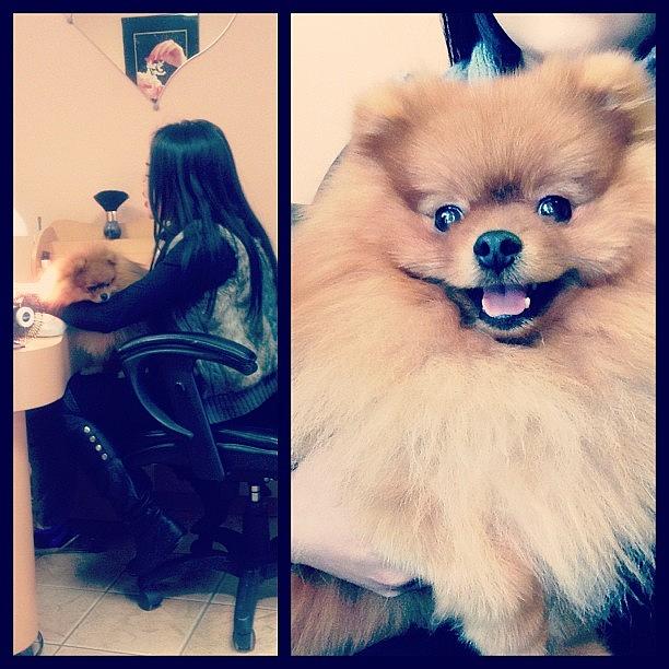 Pom Photograph - Getting My Nails Done With Teddy Bear by Liana Huynh
