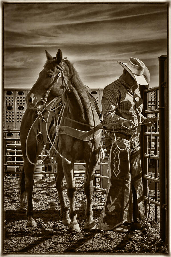 Horse Photograph - Getting Ready to Rodeo by Priscilla Burgers