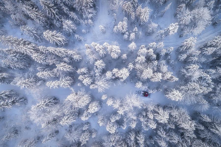 Winter Photograph - Getting The Job Done by Daniel Fleischhacker