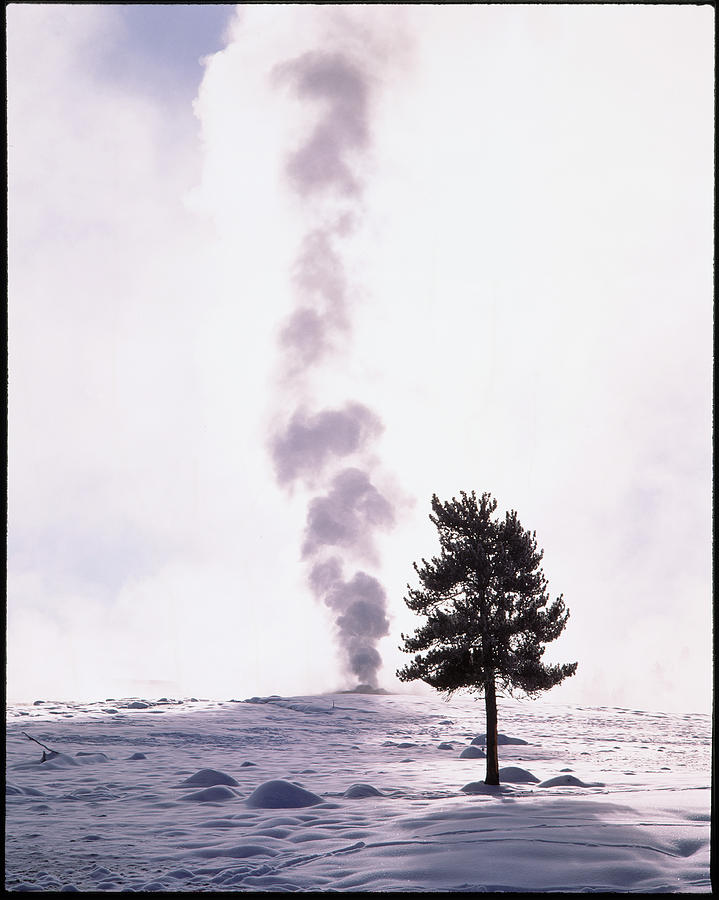 Geyser In Winter Photograph by Simon Fraser/science Photo Library