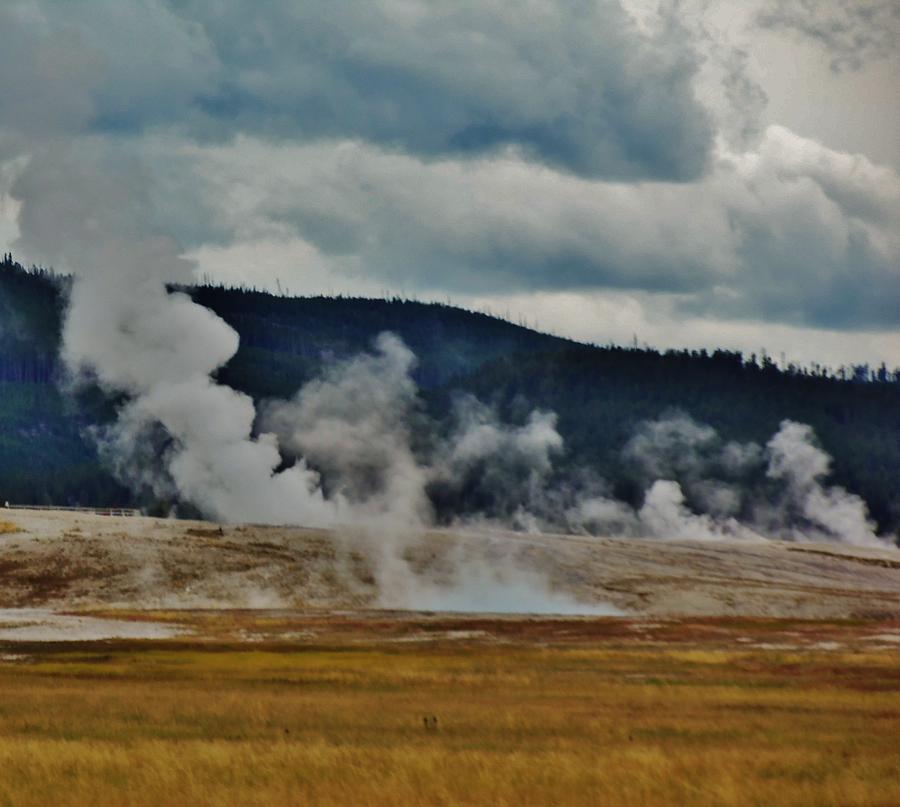 Geyser Valley Photograph by Larry Campbell