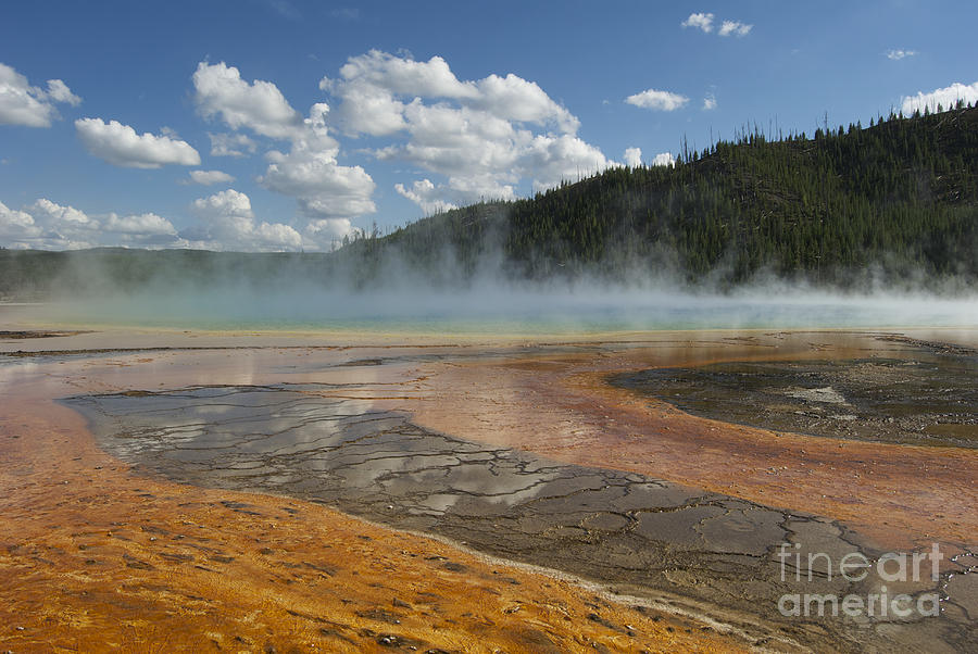 Geyser Yellowstone Photograph by David Alvarez - Fine Art America