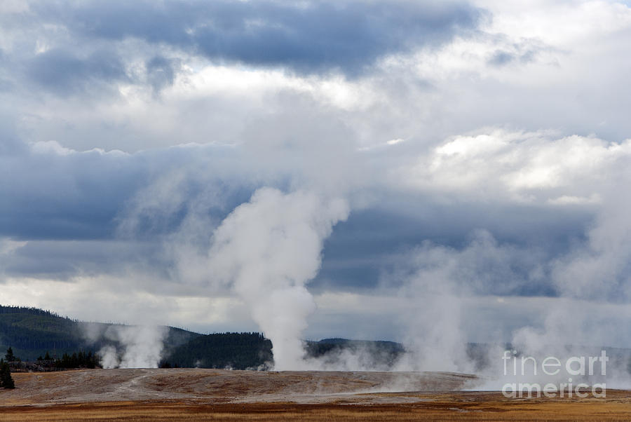Geysers At Yellowstone National Park Photograph by Mark Newman