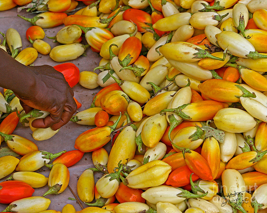 Ghana sorting vegetables Photograph by Michael Gibney Fine Art America