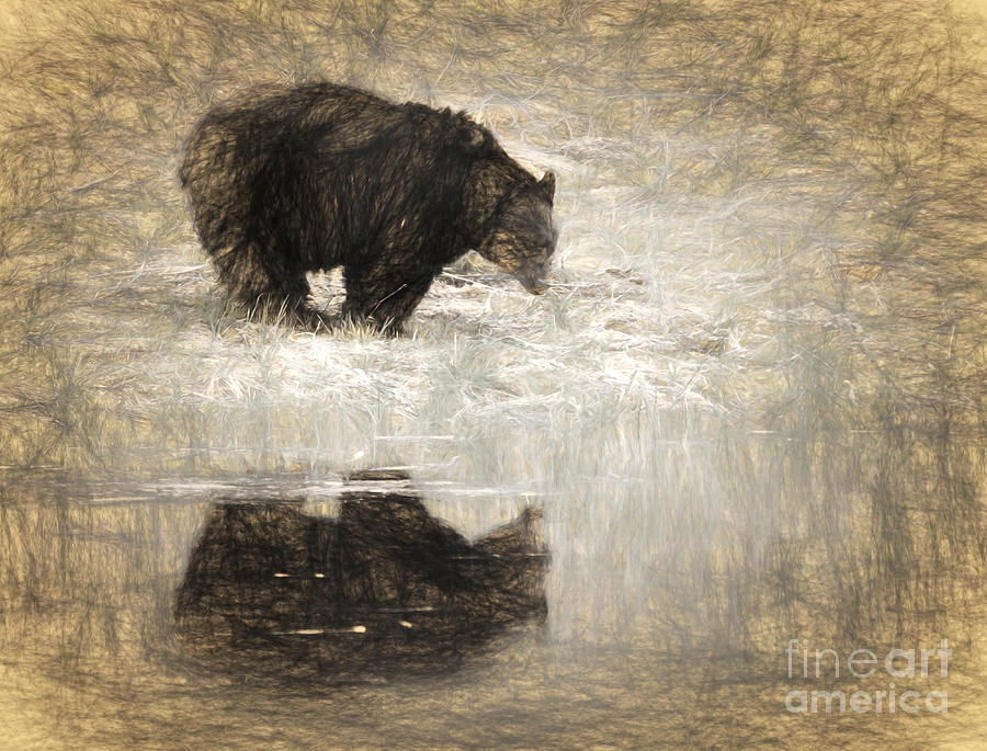 Ghost Bear Photograph by Clare VanderVeen
