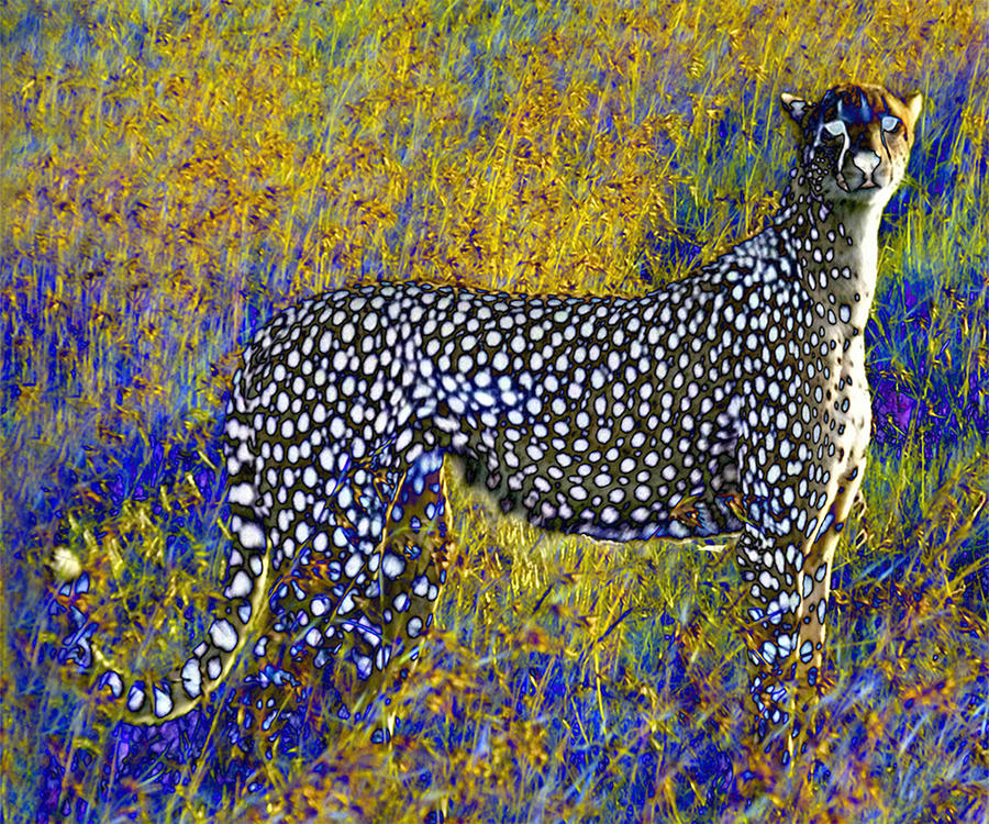 Cheetah Digital Art - Ghost Cheetah by Philip Brent