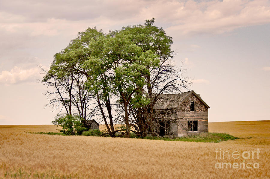 Farm Photograph - Ghost Farm by Andrea Goodrich